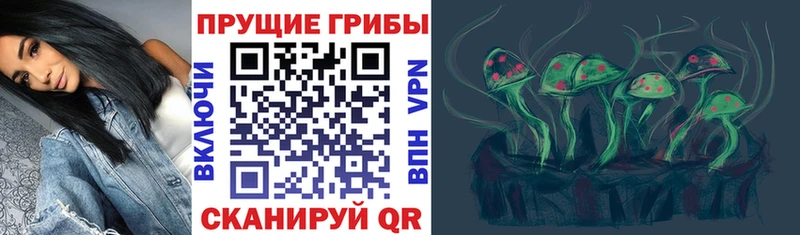 Псилоцибиновые грибы Cubensis продажа наркотиков Улан-Удэ